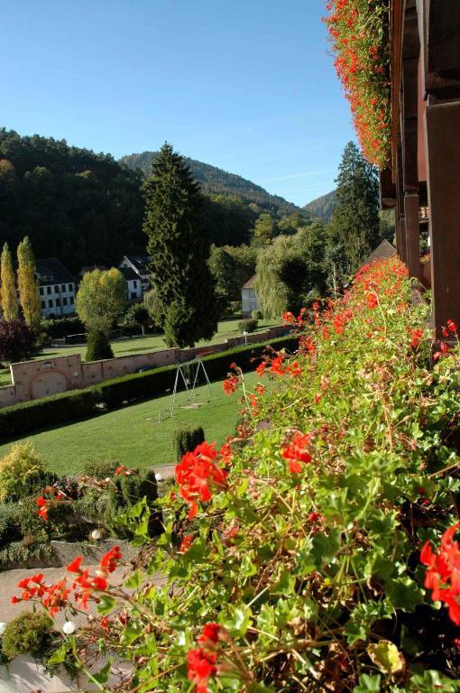 Hotel Restaurant Des Vosges Obernai Buitenkant foto